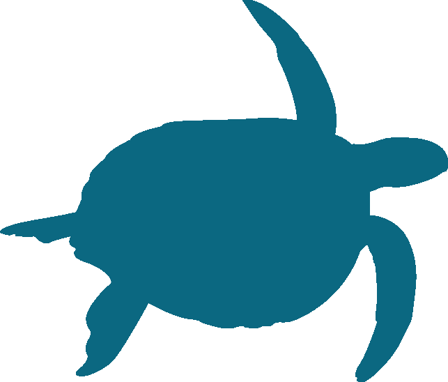 sea-turtle-icon.png