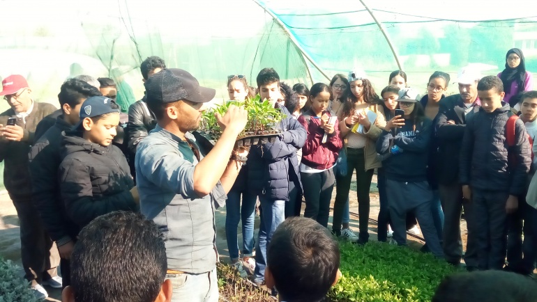 Eco-Ambassadeurs :Sortie pédagogique à la Fondation DU SUD