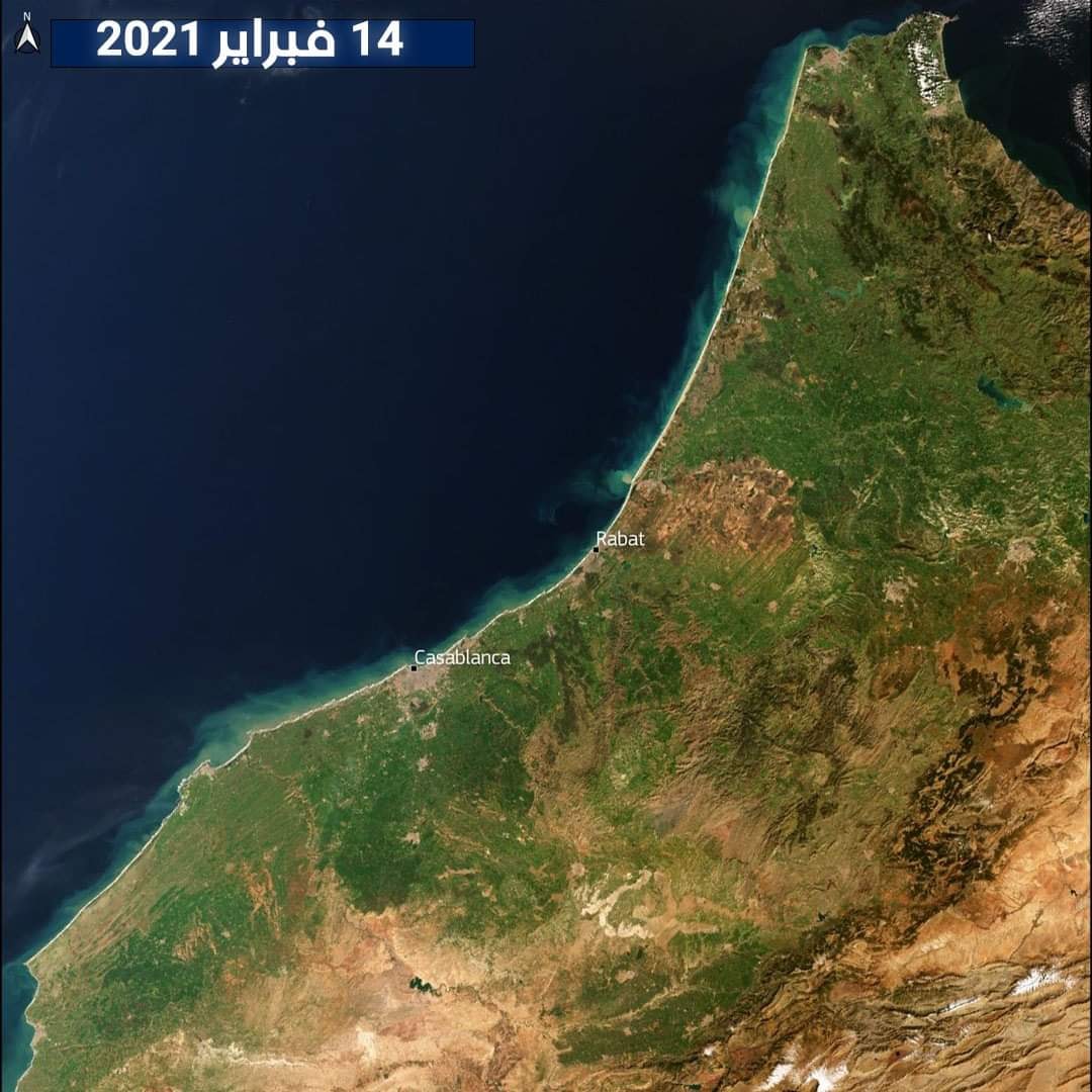 274946313.jpg
